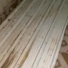 زينكو للبيع