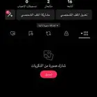حساب تيك توك كامل مع يوزره