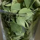 مخرج 5 حي الغدير