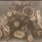 حوض غمرتين شرط س م. ر