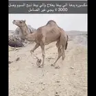 ولد جبار الحربي