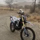 دباب صحراوي
