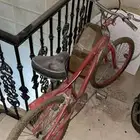 دراجة سيكل كوبرا