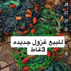 رحلات وصيد