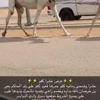 عشرا كفو
