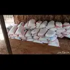 تمر حق حلال موقع ينبع