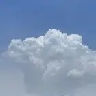 و ب ر ا ن ل ب ي ع