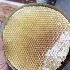عسل سدر جبلي