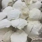 مضير ومريس بقل