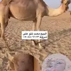 البيع صعودا