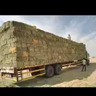 توصيل الأعلاف لجميع ضواحي محافظة الأحساء