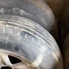 جنوط