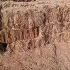 تبن هيبان ممطور الموقع بريدة الوزن ممكن 10 الى 13 كيلو