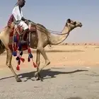 للبيع رحول