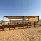 مضلات الآبل مضلت ابل مضلا حاشي