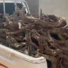 صندوق يولي مظبوط ويابس