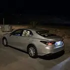 دينا 2025