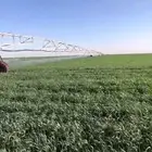 مشاريع بسيطا