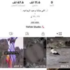حساب تيك توك