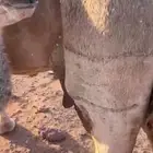 خلفه مجموعه.