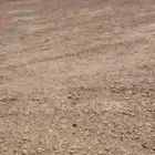 عقار