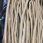 مساويك طيبه ابوحنش
