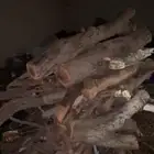 مستورد شي كفو