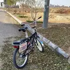 رامبو جديد