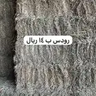 رودس