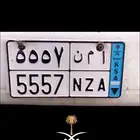 لوحة مميزة مجدد مفحوص