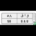لوحه مميزة للبيع