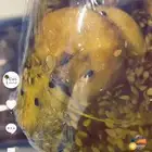 مخلل التين بزيت الزين