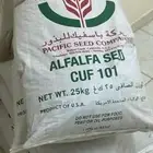 مطلوب بذور برسيم