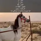 حصان شعبي
