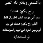 مستشار او معلن او ابحث عن الطير الي تبيه