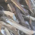 حطب مستورد س م ر شرط افريقي