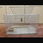 جوز كروان