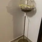 عصفور روز