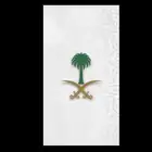 مطار أبها