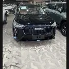 هافال جوليان اكتيف 2025
