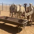 حشو للبيع