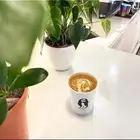 طباعة وتصميم كافة انواع الاكواب الورقية والبلاستيكية