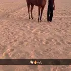 خيل