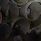 حمام كرمي وحب رمن الشراي