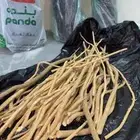 مساويك مسواك الاراك الحار
