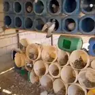 حمام سلفر