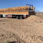 تريله تيدر طويل لنقل الاغنام دورين