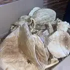 خبز ناشف
