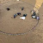 شبكة صيد حمام