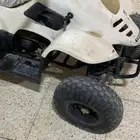 دباب شغال طيب بلحيل والي يبي مقطع يتواصل واتس اب